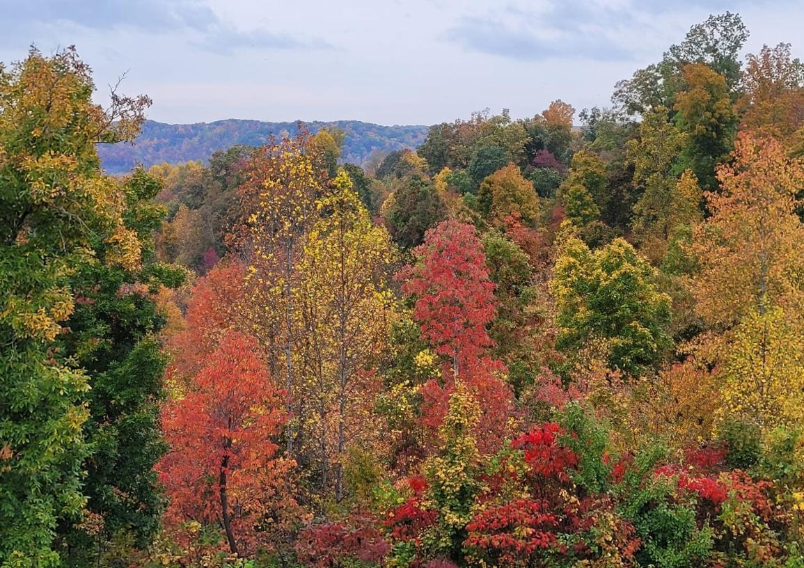 Great Little Guest Suite With Private Entry & Deck! Pet Friendly & 30 Mins To Nashville! Ashland City Екстер'єр фото