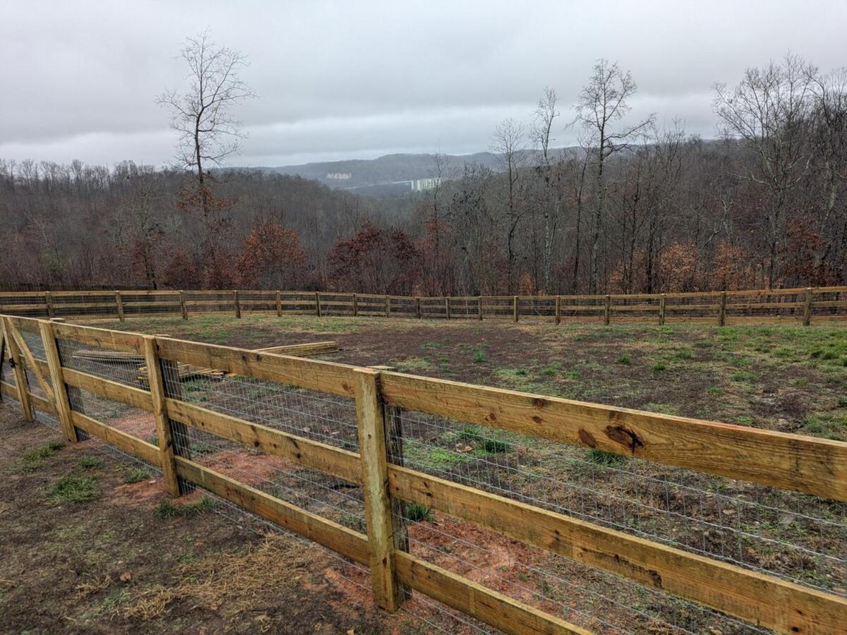 Great Little Guest Suite With Private Entry & Deck! Pet Friendly & 30 Mins To Nashville! Ashland City Екстер'єр фото