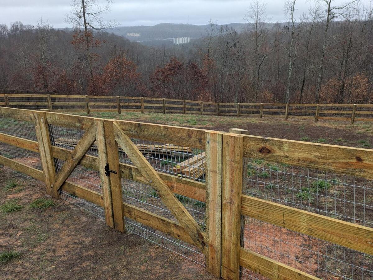 Great Little Guest Suite With Private Entry & Deck! Pet Friendly & 30 Mins To Nashville! Ashland City Екстер'єр фото